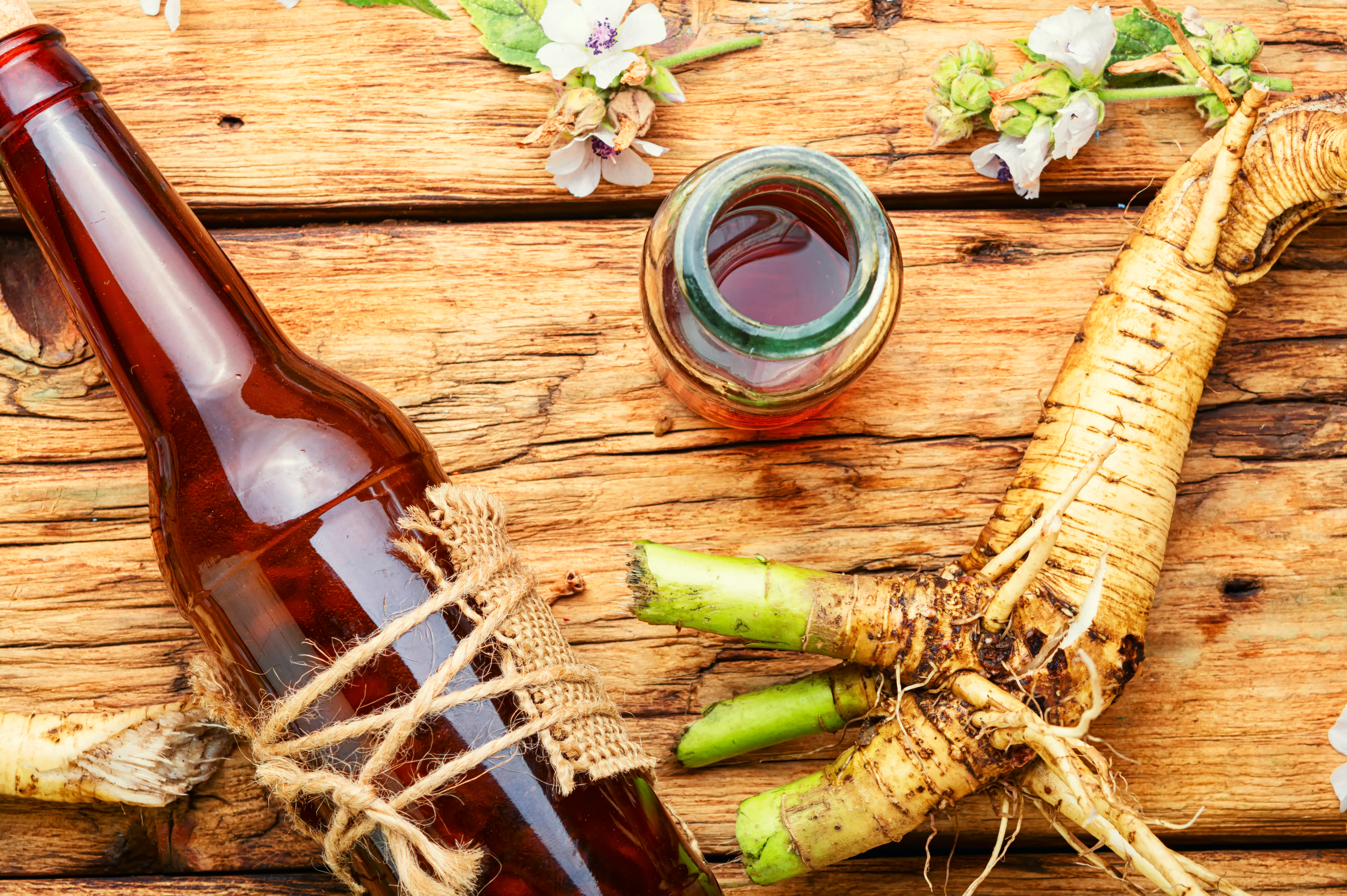 Canadian-style ginger root beer