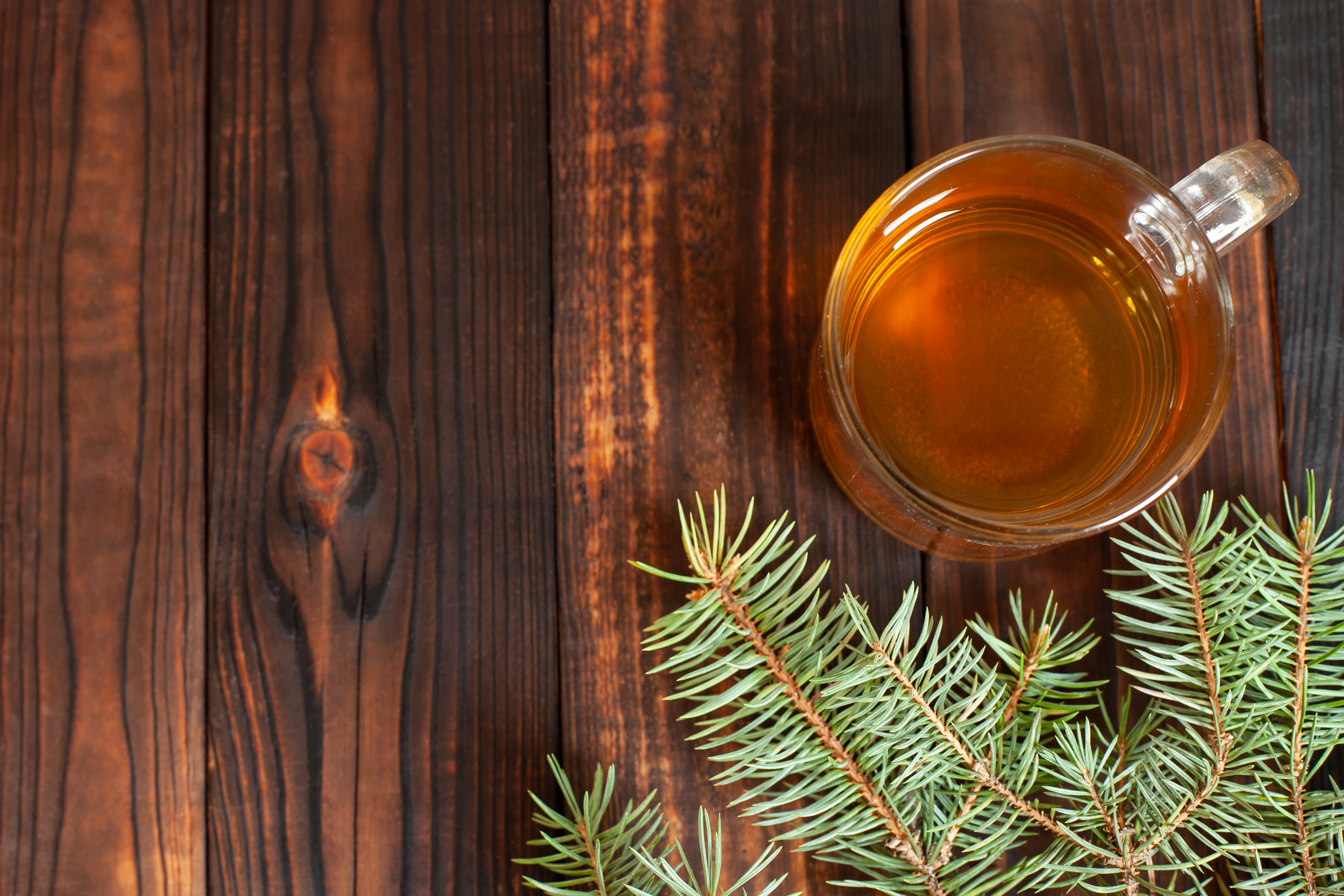 Kid-friendly forest tea