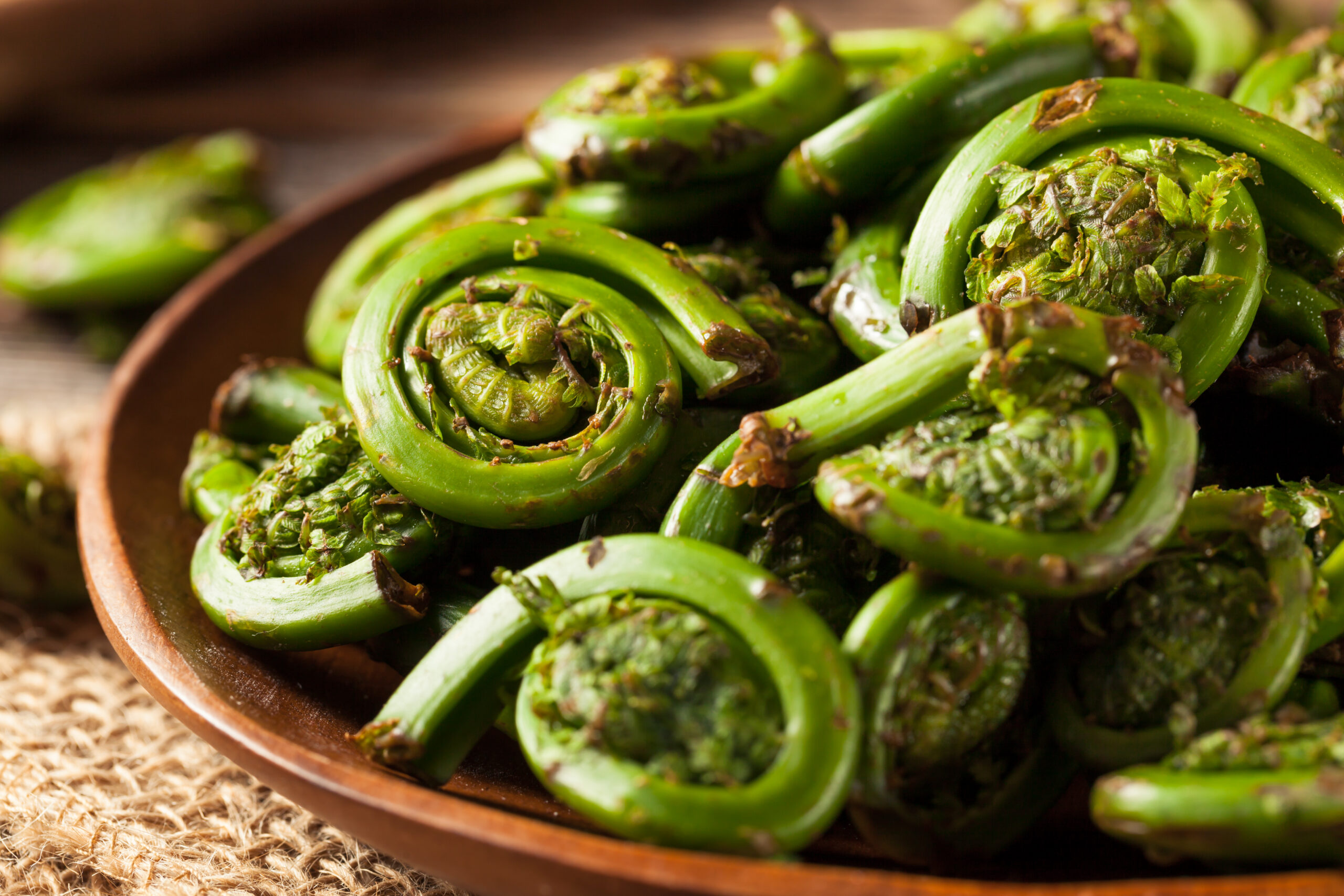 Fiddleheads, the flavor of the forest in your plate
