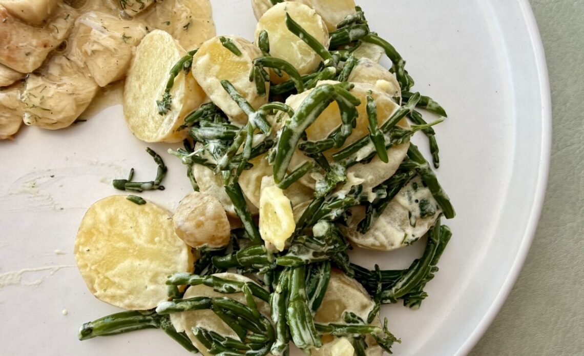 Salicorne and potato salad