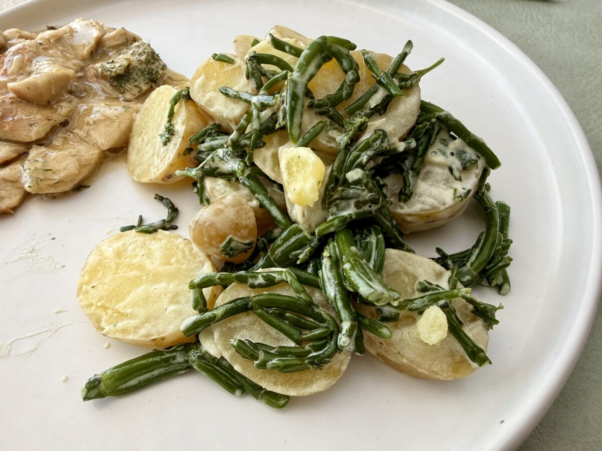 Salicorne and potato salad