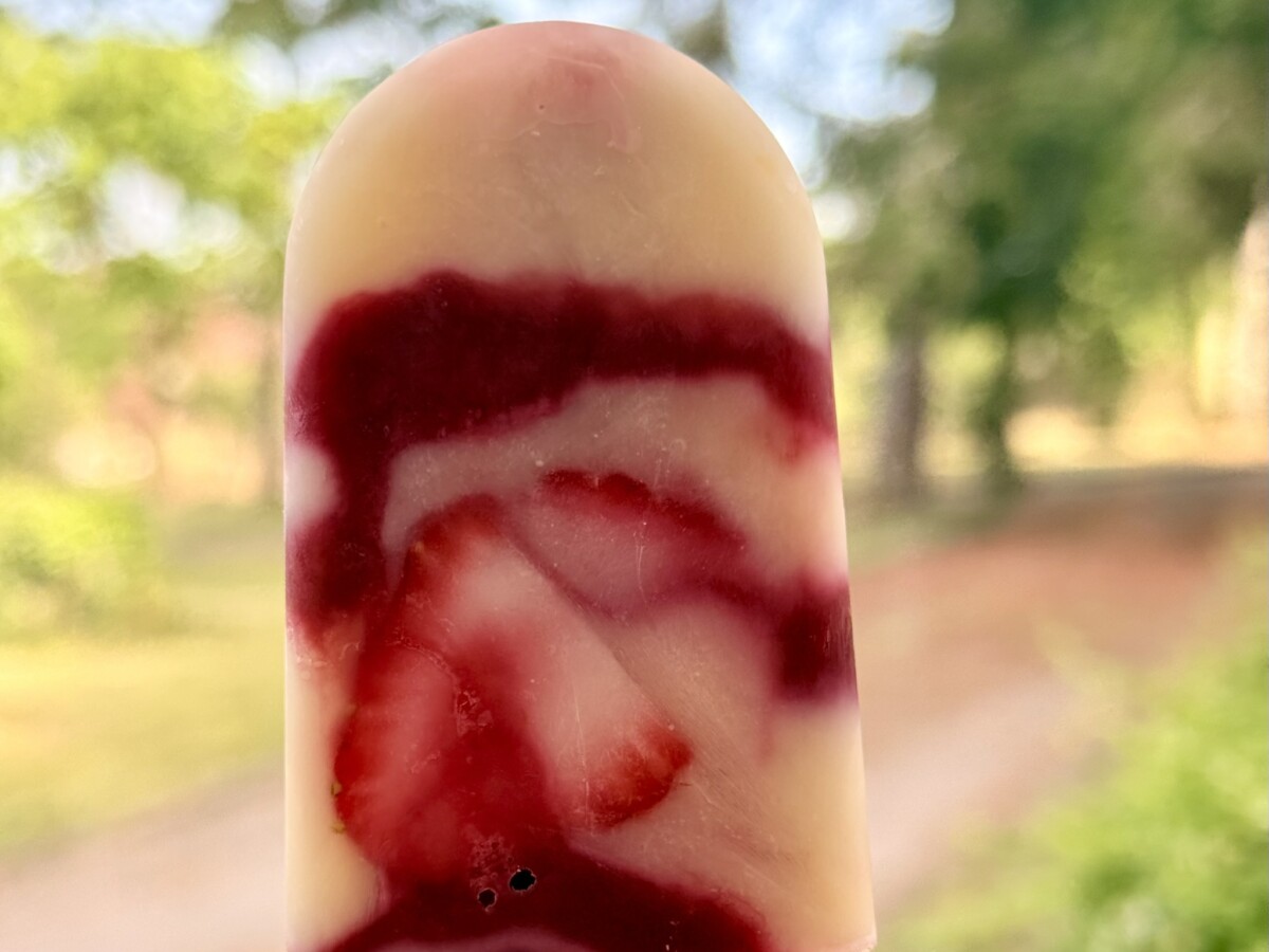 Red fruit iced pops